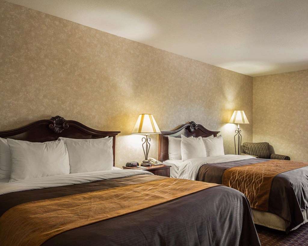 Comfort Inn Silicon Valley East Fremont Cameră foto