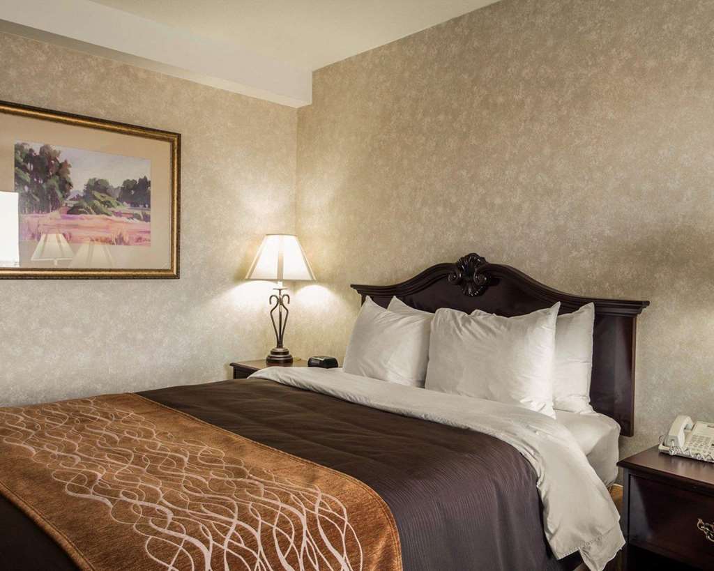 Comfort Inn Silicon Valley East Fremont Cameră foto